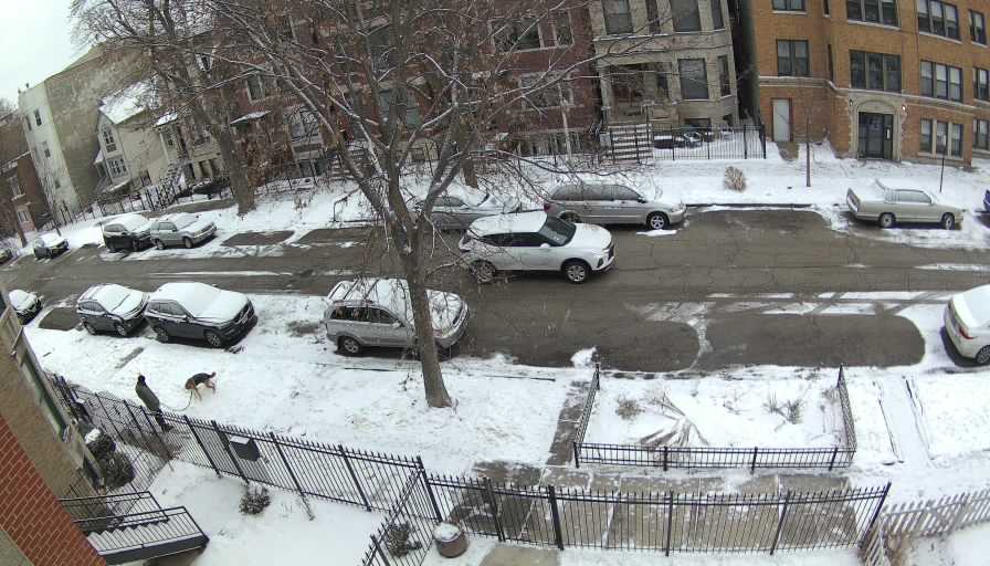 Reolink Camera One_00_Reolink Home Hub One_20260206075540.jpg